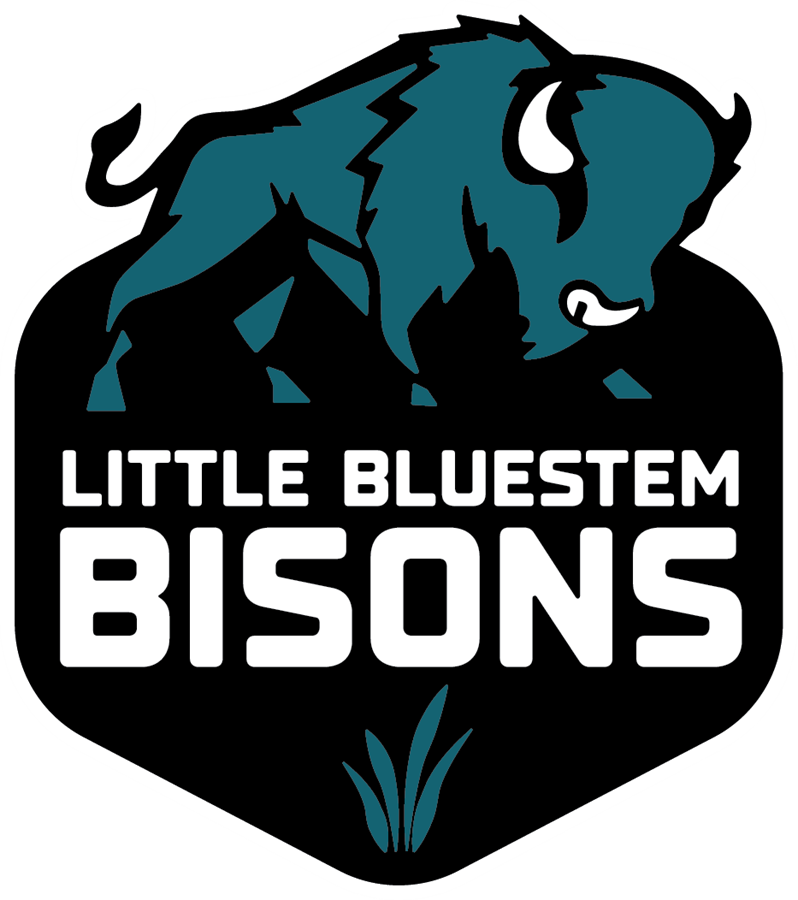 Little Bluestem
