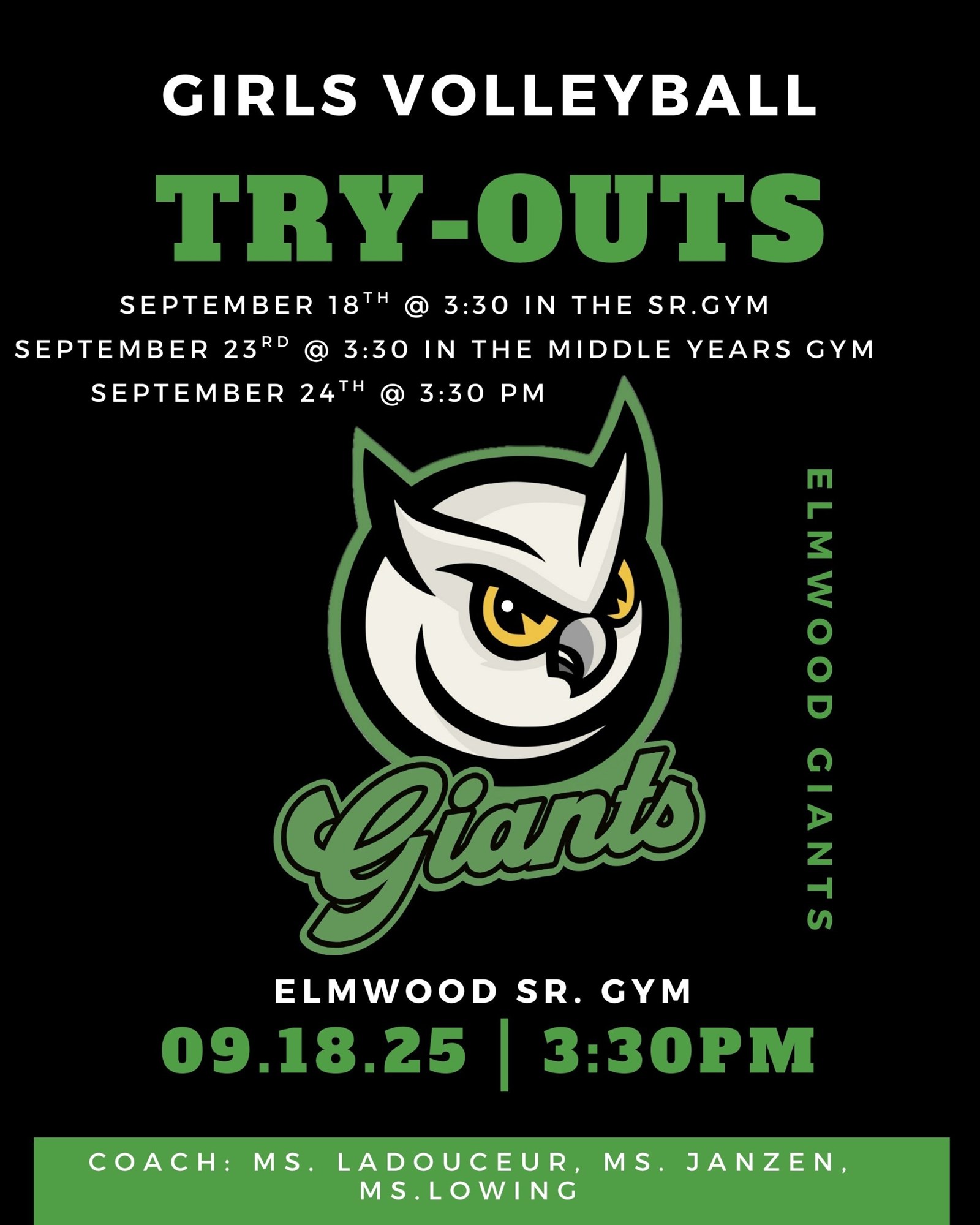 Elmwood%20Try-out%20Posters%20Girls%20VBall.jpg