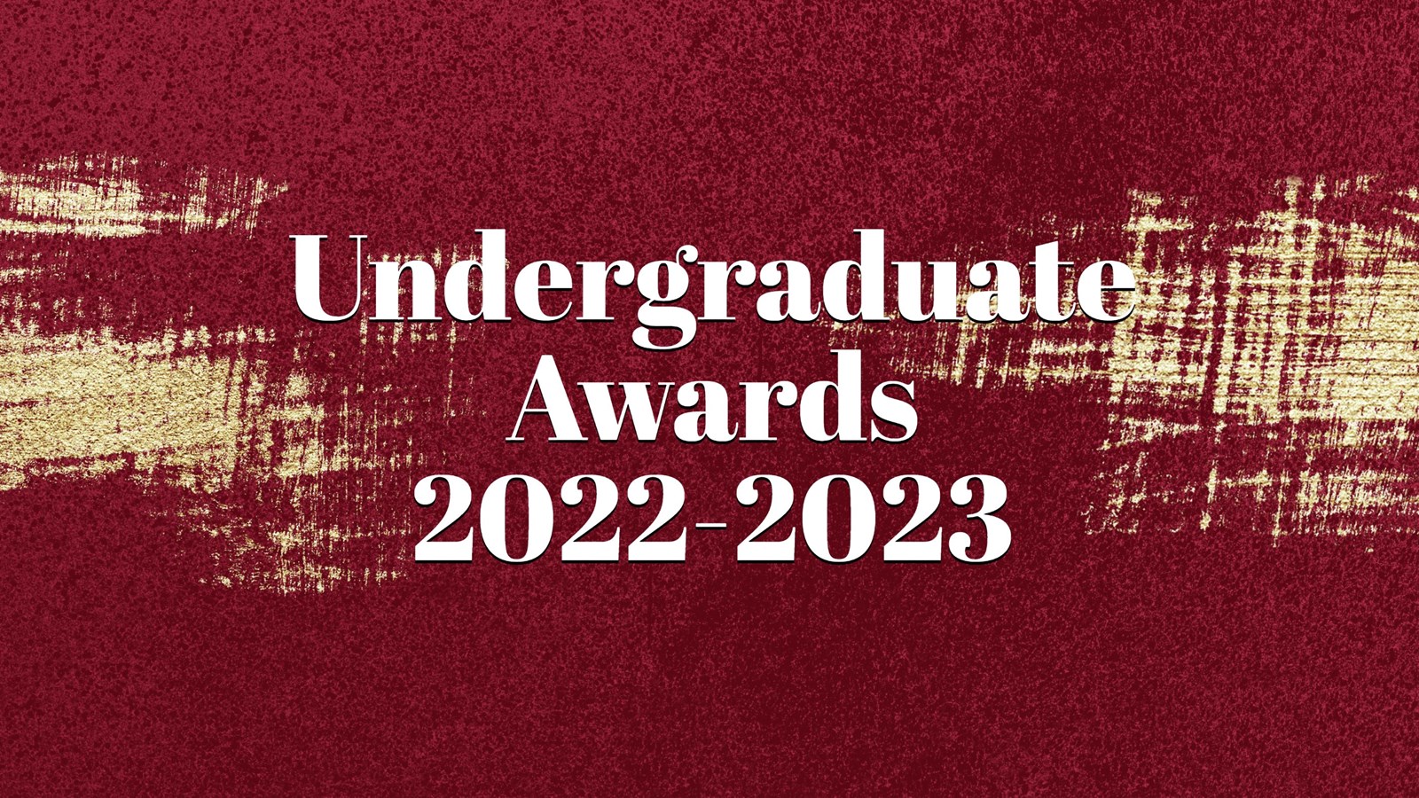 Undergraduate Awards 2023