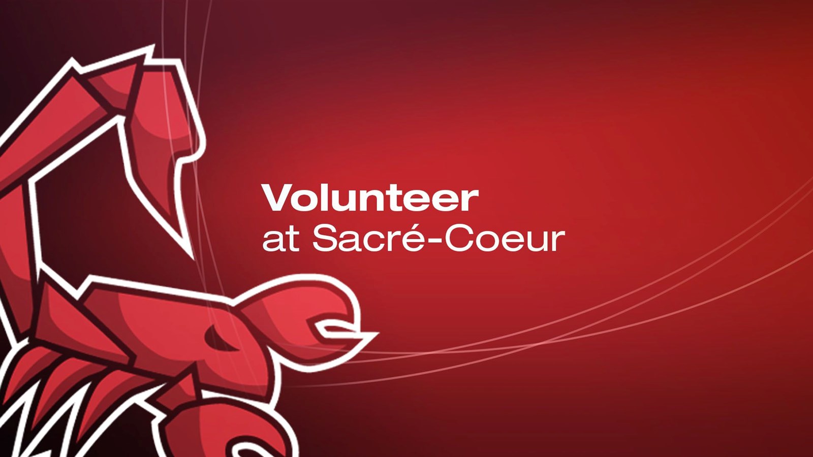 Volunteer at Sacré-Coeur