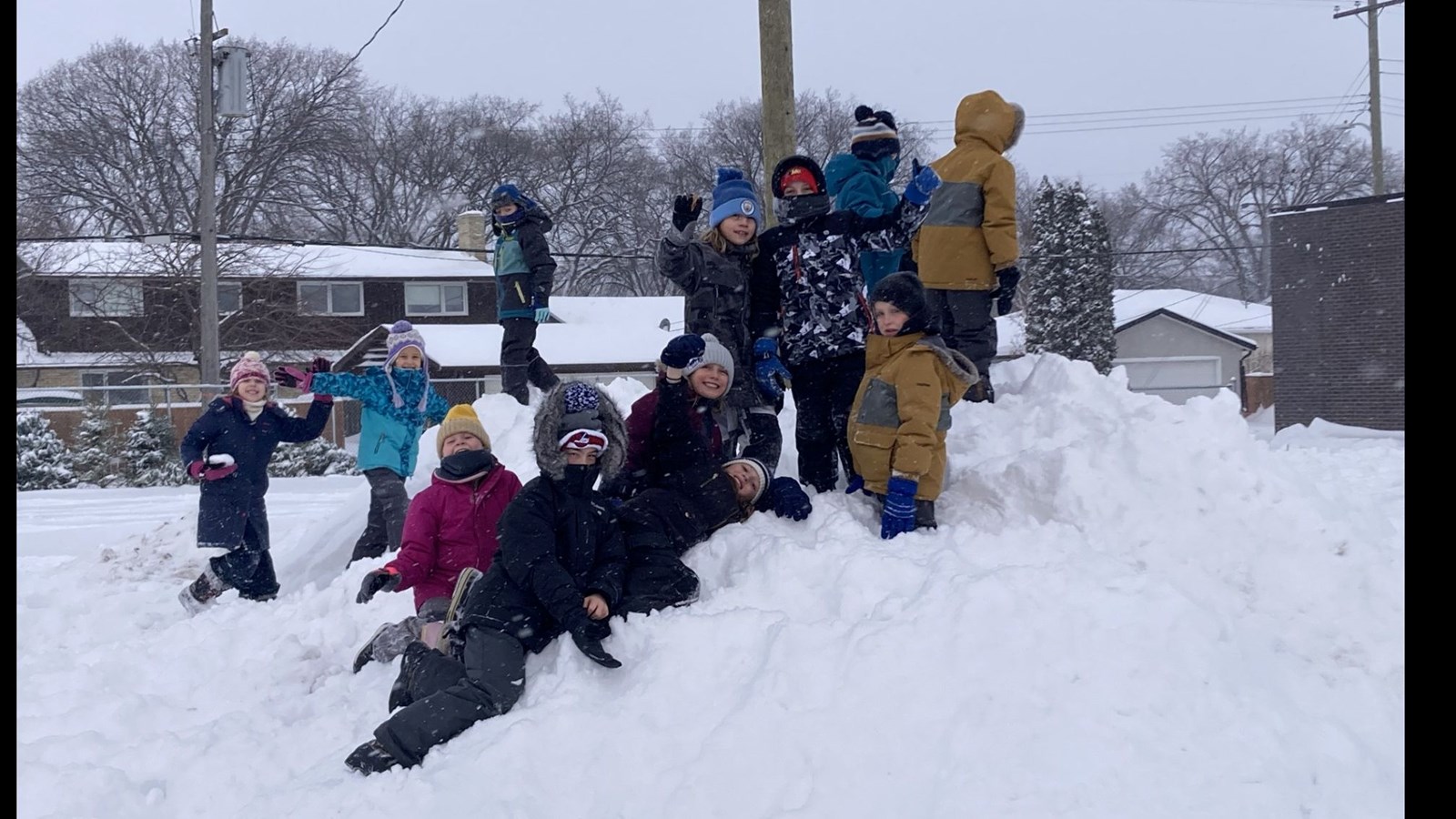 polar bear club