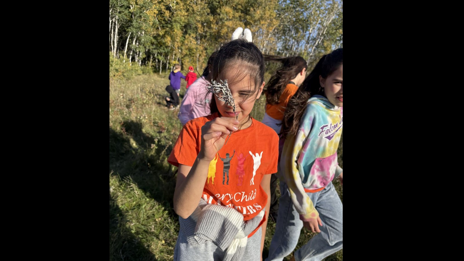 sage picking