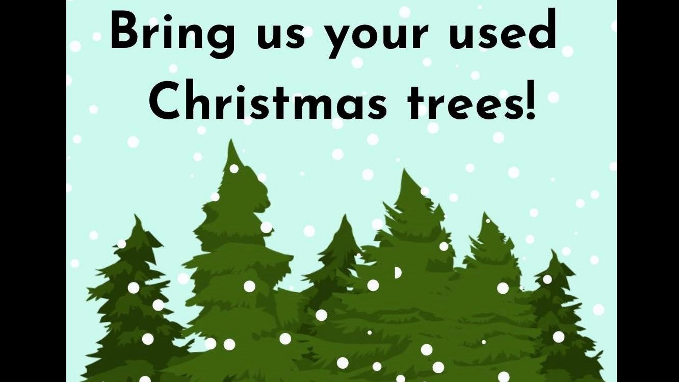 trees