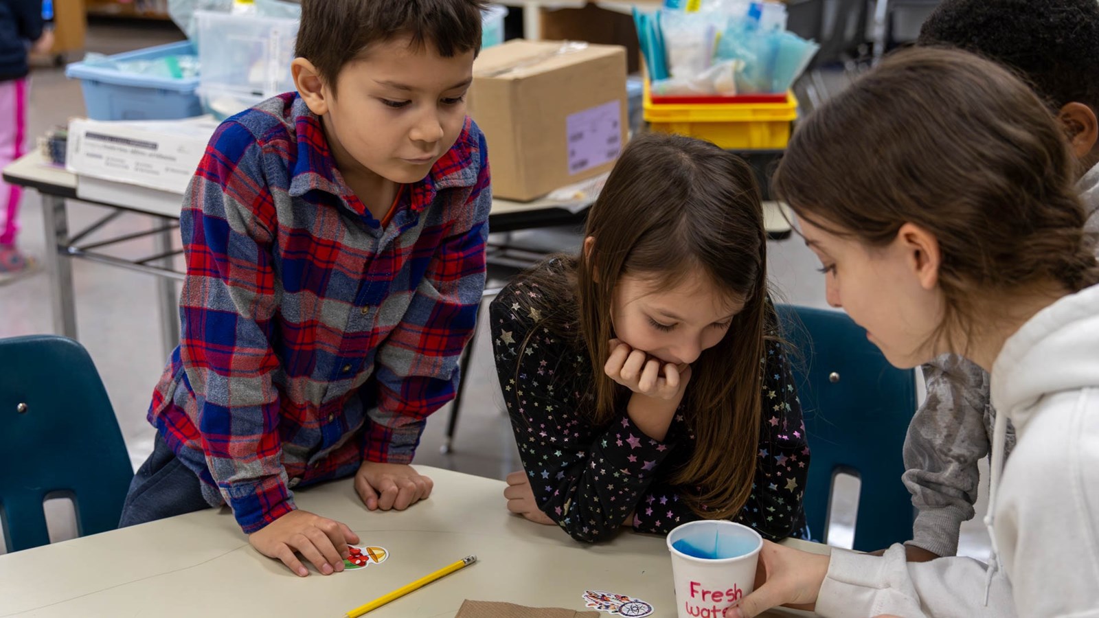 Wellington students learning about science through live activities