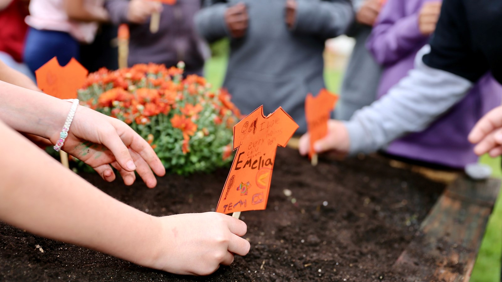Students plant flowers and orange shirts