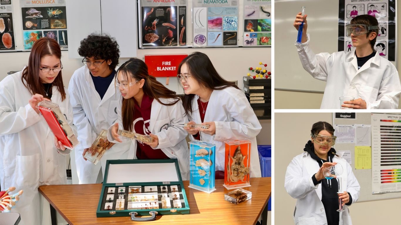 WSD Students selected in SHAD 2024.
